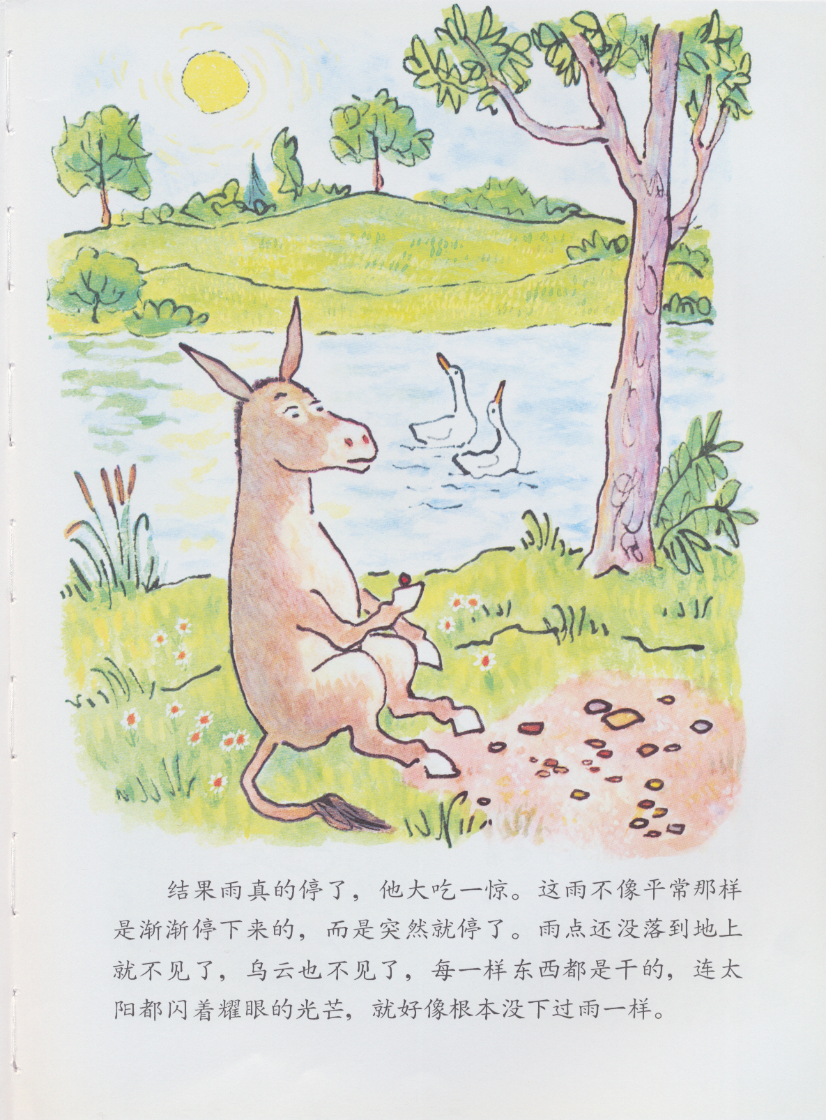 驴小弟变石头 (05),绘本,绘本故事,绘本阅读,故事书,童书,图画书,课外阅读